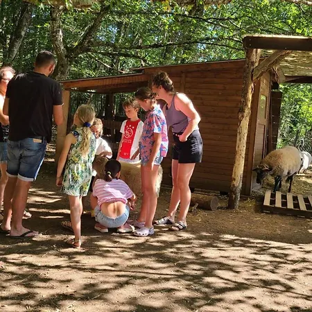 Mobil-home - Animaux Ok - 6 Pers. - Api-1-52-2429 La Douze